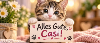 Schon wieder? 